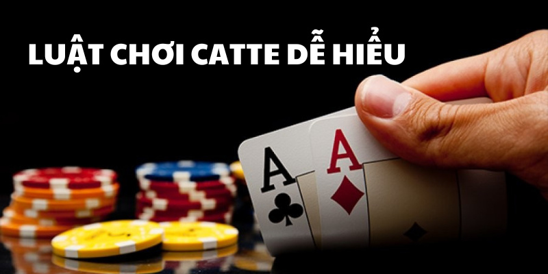 Cập nhật toàn vẹn luật chơi catte dễ hiểu